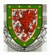 Wales FA